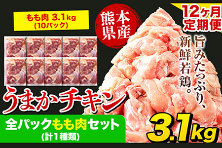 鶏肉 定期便 12回 もも肉 3.1kg 小分け 熊本 | 鶏肉