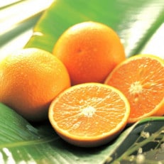【濃厚】有田産清見オレンジ約5kg(M～3Lサイズおまかせ 青秀以上)(高野町)