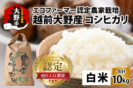 【先行予約】【令和7年産 新米】越前大野産 エコファーマー認定農家栽培 コシヒカリ10kg（白米）[A-001035] 【2025年10月より順次お届け】