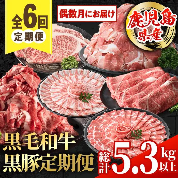 ＜定期便・計6回(偶数月)＞ 鹿児島県産 黒毛和牛 黒豚 定期便 総計 約5.3kg 以上 【スターゼン】 i1007