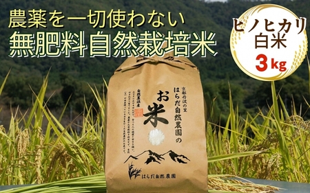 米 令和7年産 自然栽培米 ヒノヒカリ ＜農薬を一切使わない無肥料栽培＞精米（白米）3kg　《京都丹波産 最高良食味 人気品種 精米仕立て》