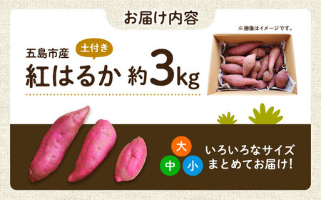 島の元気なさつまいも!ねっとり甘い『紅はるか』3kg 五島市/あわたに農園[PGO001]