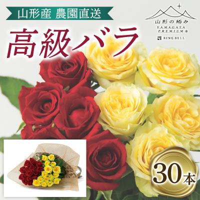 ふるさと納税 山形市 山形産農園直送高級バラ 30本 FZ26-741