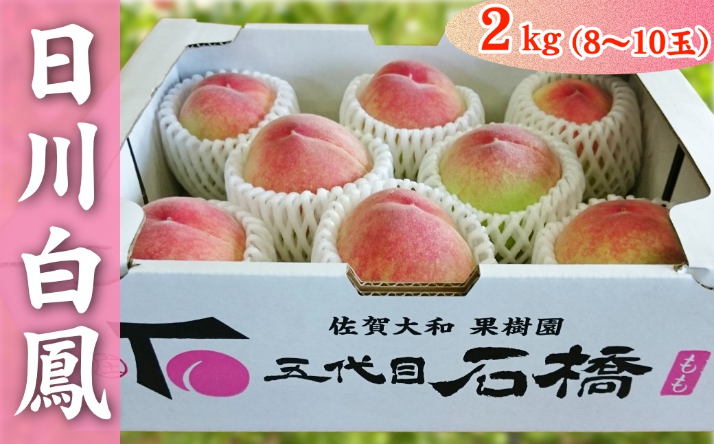 
                  石橋果樹園 日川白鳳 2kg(8～10玉)
                