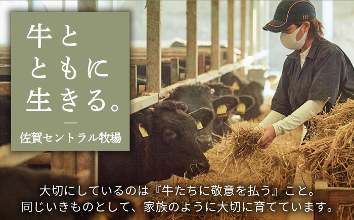 【牧場直送】【12回定期便】佐賀県産和牛 すきやき・しゃぶしゃぶ用スライス 1kg（500g×2パック）ロース・モモ・バラ【有限会社佐賀セントラル牧場】 [IAH173]