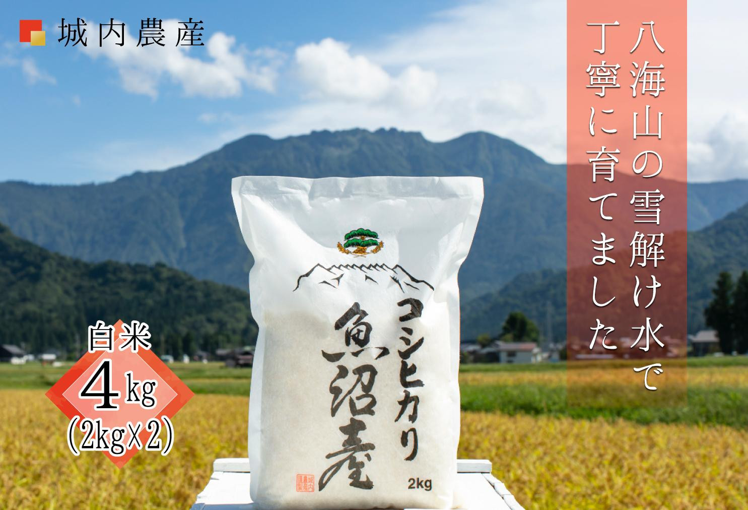 【令和８年産新米予約】南魚沼産コシヒカリ　白米４kg（２ｋｇ×２）【５割減農薬栽培米】城内農産【銘柄米 ブランド米 精米 こしひかり コシヒカリ 魚沼産 新潟米 産地直送 お米 米 】【2026年9月