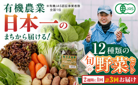 【全3回隔週定期便】 有機野菜 12種セット有機野菜 有機野菜 有機野菜 有機野菜 有機野菜 [YAF004]