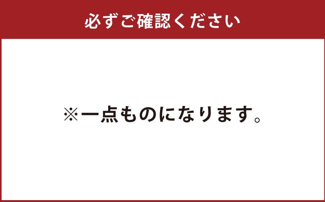 押花アートフレーム【ドクダミ】ボタニックデザイン　～花言葉は追憶・野生～
