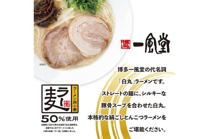 ラーメン 一風堂 白丸 ラー麦麺 セット 2食 [地域商社ふるさぽ 福岡県 宇美町 um40bfw220018] 豚骨 とんこつ らーめん 拉麺 豚骨ラーメン とんこつラーメン 博多ラーメン お試し