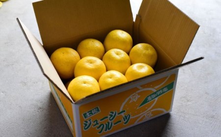 羽賀農園 河内晩柑9kg（家庭用）【高知県宿毛市小筑紫町田ノ浦産】 柑橘 柑橘