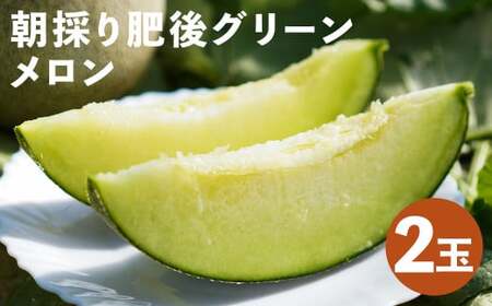 つるたファームの 朝採り 肥後グリーン メロン 1.8kg以上 2玉 株式会社七城の恵み《5月上旬頃から出荷開始》熊本県 菊池市 メロン つるたファーム