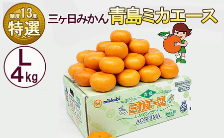 三ケ日みかん 青島 【特選 ミカエース】 Lサイズ4kg(30個前後) ミカン 果物 くだもの フルーツ 甘い 果物類 柑橘類 静岡 浜松市【配送不可：北海道・沖縄・離島】