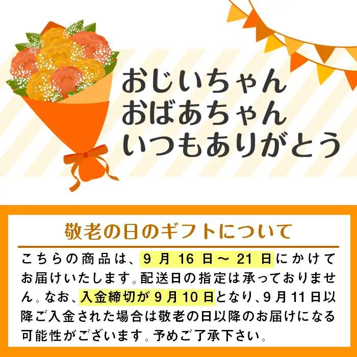 i167-k 【敬老の日ギフト】雲海酒造のさつま木挽 飲み比べ (各900ml×2本) 敬老の日 焼酎 芋焼酎 本格焼酎 飲みくらべ お湯割り 水割り ロック 宅飲み 家飲み ギフト プレゼント 贈答