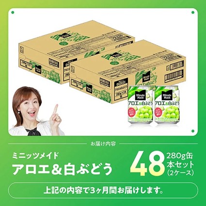 【3ヶ月定期便】ミニッツメイド「アロエ&白ぶどう」280g缶 48本（24本×2箱） 【 飲料 アロエ 白ぶどう 果汁 長期保存 定期便 】
