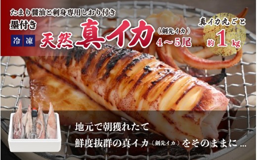 【先行予約】【期間限定】新鮮 朝獲れ 真イカ (剣先イカ）約1kg【2026年6月下旬以降順次発送予定】たまり醤油と調理方法付 丸ごと 冷凍 真イカ【入手困難 いか 剣先イカ 烏賊 イカ 刺身 するめいか 海鮮 魚介 魚介類 海の幸 】 [m21-b015]