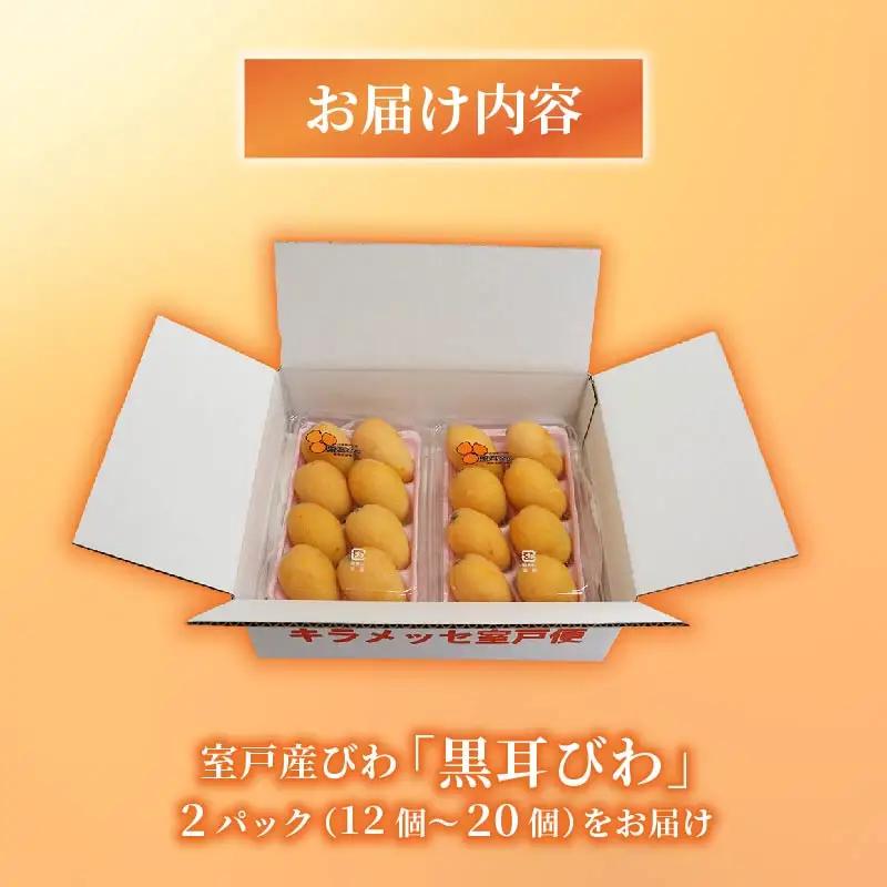 【先行予約】 びわ 12～20玉 【訳あり】 びわ rk036