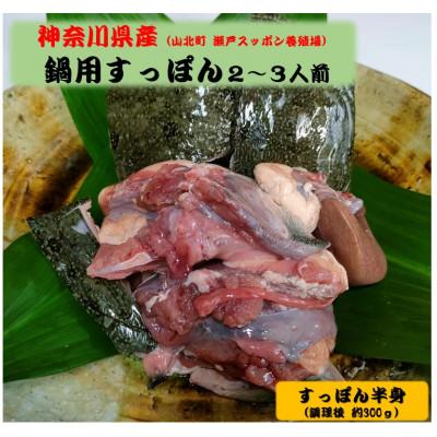 ふるさと納税 山北町 【2025年11月上旬発送】神奈川県産鍋用すっぽん(2〜3人前　約300g) | 