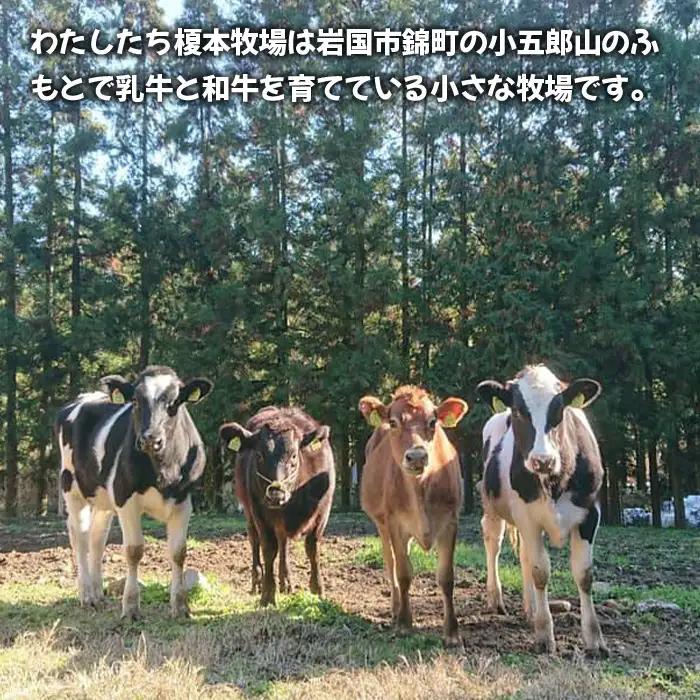 シロヘビチーズ 5個 400g ストリングチーズ さけるチーズ【榎本牧場チーズ工房】