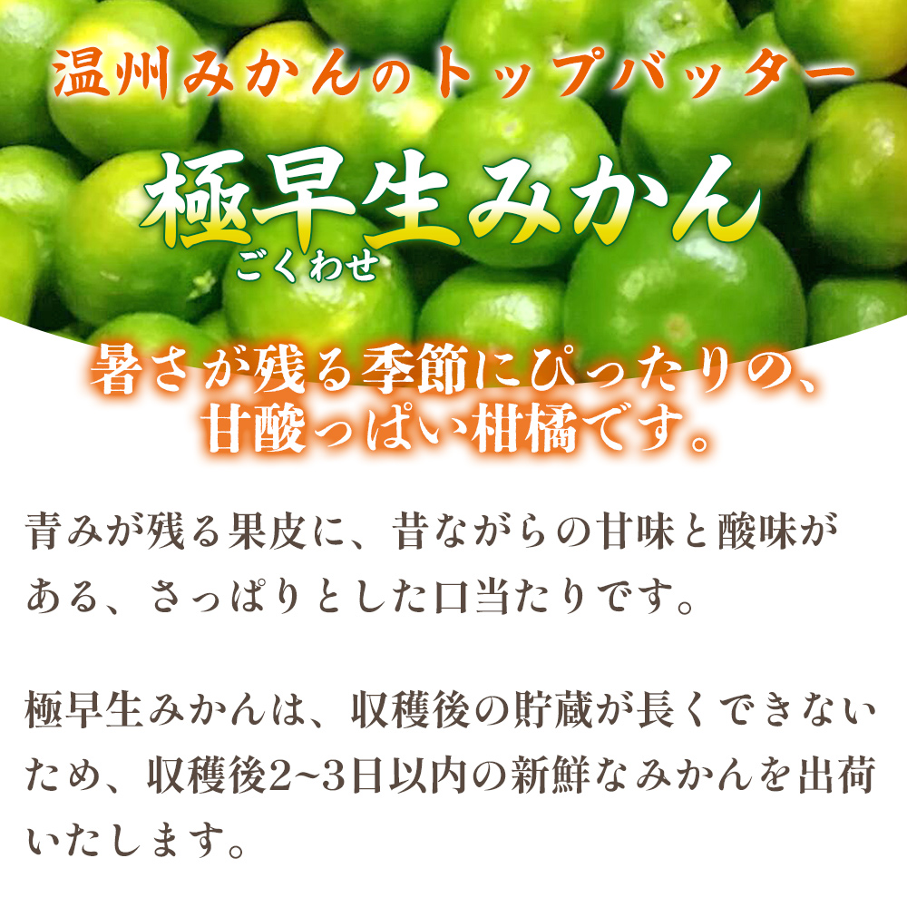 ＜愛媛県産 極早生みかん 約10kg ご家庭用＞ 温州みかん 家庭用 訳あり 果物 ミカン 柑橘 フルーツ 特産品 段畑みかん株式会社 愛媛県 西予市
