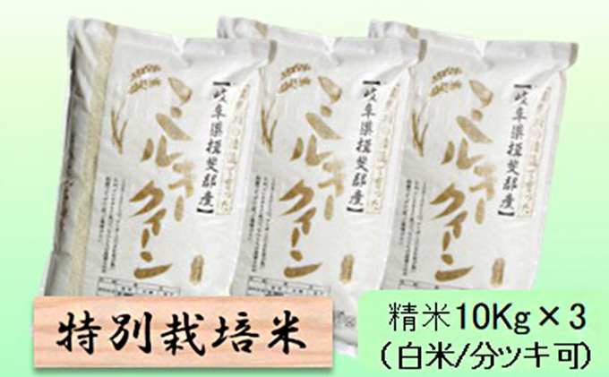 特別栽培米 【 令和8年産 】 精米 30kg（白米/5分/7分ツキ可）【 ミルキークイーン 】玄米は別に出品