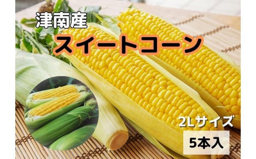 
【新潟県 津南町産】朝取りスイートコーン 2Lサイズ 5本（1本約400g）
