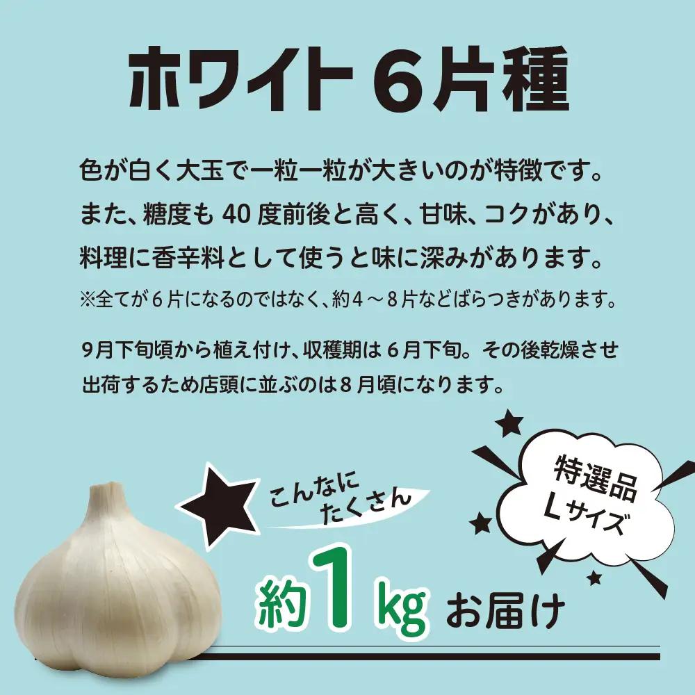 【8月上旬より順次発送】 青森県産にんにく 特選品 Lサイズ 1kg ホワイト6片種 にんにく