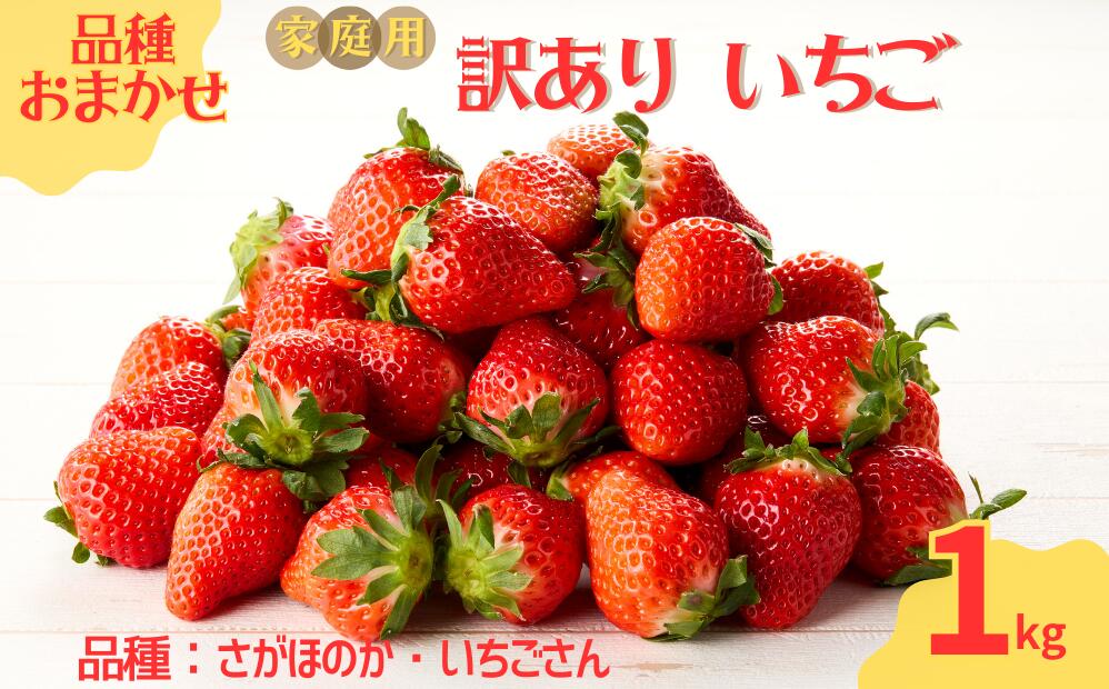 ★予約受付★平川いちご農園【2月～5月 順次配送】玄海町産いちご（家庭用・訳あり）1kg ／ 送料無料 いちご さがほのか いちごさん 希少 果物 くだもの フルーツ デザート 予約受付