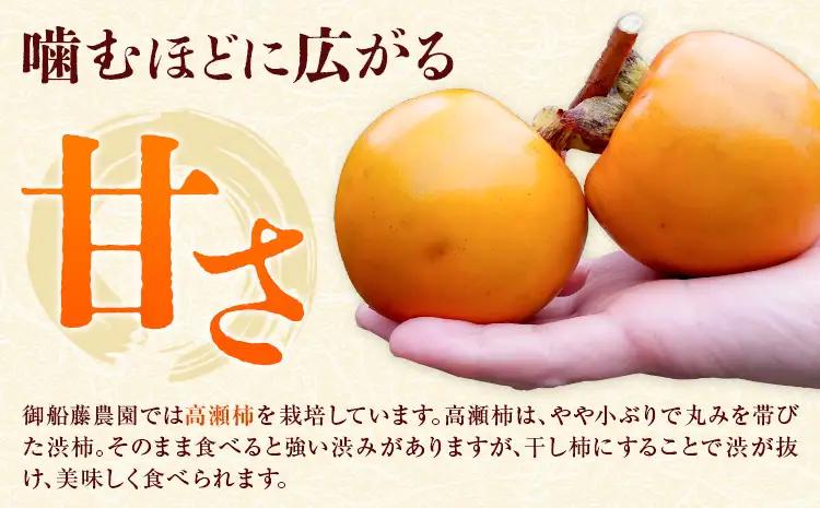 昔ながらの干し柿 クリームチーズブレンド特製チーズ付き 8個 柿 果物 フルーツ かき 高瀬柿 御船藤農園《2026年11月中旬-2027年1月中旬頃出荷》熊本県 御船町 ドライフルーツ 甘味 くだも