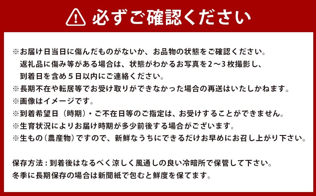 【2026年12月下旬発送開始】さつまいも食べ比べ（シルクスイート/紅はるか/金時）計約5kg