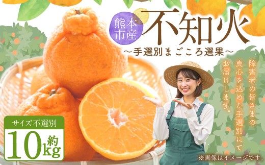 ＜ R8年熊本地震復興支援 ＞不知火（デコポンと同品種）【手選別まごころ選果】約10kg サイズ不選別 しらぬい 柑橘 くだもの 果物 フルーツ 【2027年2月上旬～4月上旬発送予定】