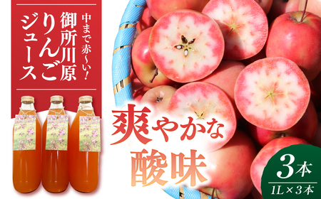 御所川原りんごジュース (1Ｌ×3本) / ストレート果汁100% 果肉まで赤～いりんご「御所川原」使用 りんごジュース