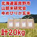 【ふるさと納税】◆玄米◆【特A受賞米】北海道富良野市産ゆめぴりか　5kg×4袋【1339595】