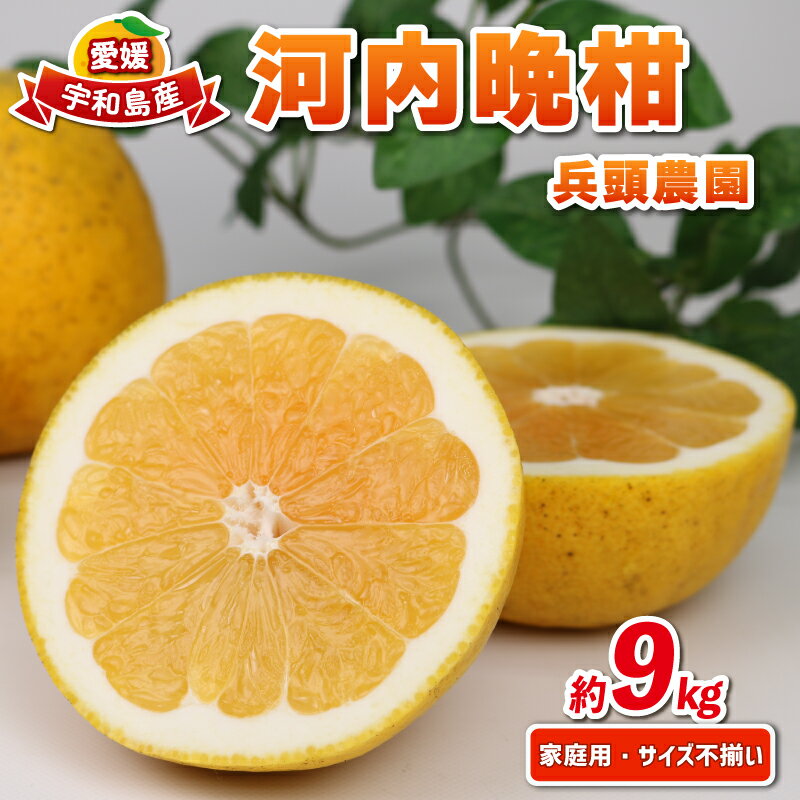 【ふるさと納税】 河内晩柑 9kg 愛媛みかん 兵頭農園 家庭用 晩柑 かわちばんかん 和製 グレープフルーツ 愛媛蜜柑 果物 くだもの フルーツ 柑橘 みかん 蜜柑 mikan 産地直送 農家直送 数量限定 国産 愛媛 宇和島 B012-055009