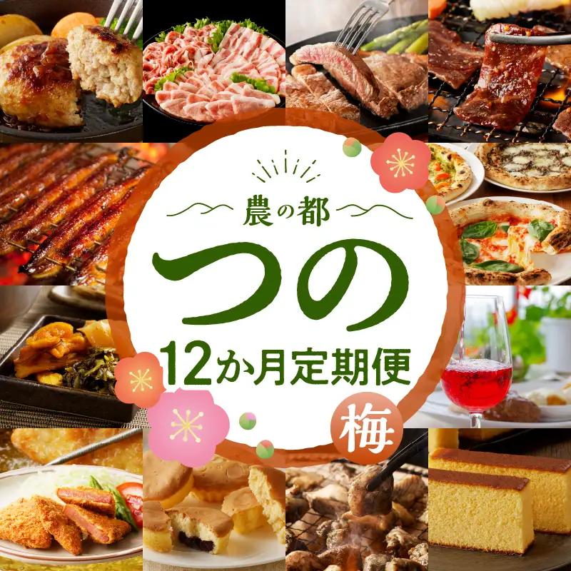 ≪12か月お楽しみ定期便≫都農町定期便(梅) 肉 加工品 デザート 国産_T999-0086