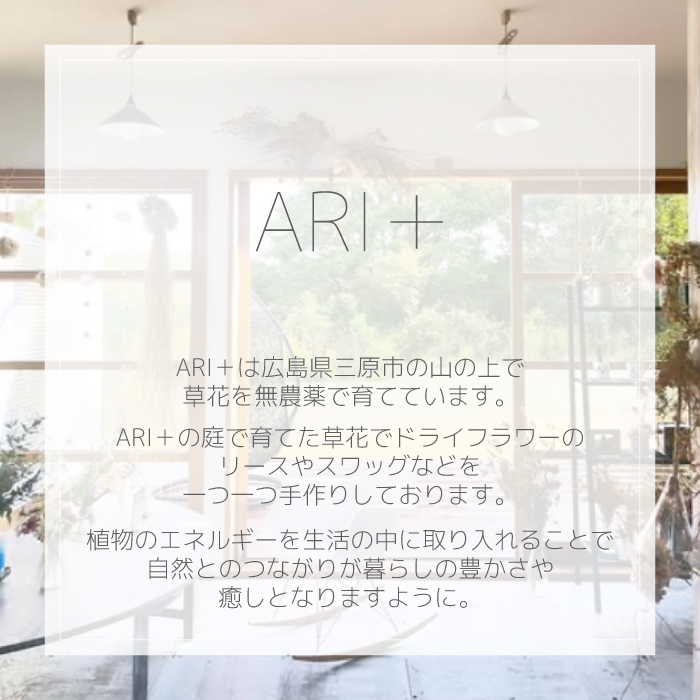 【ARI＋】ドライフラワーフレーム C グリーン 緑 黄 自宅 インテリア 花 置物 お祝い ギフト 装飾 226003