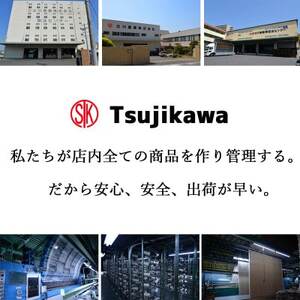 防ダニ カーペット 3畳 日本製 抗菌防臭 ノースポール 江戸間 176×261cm ベージュ【1638987】