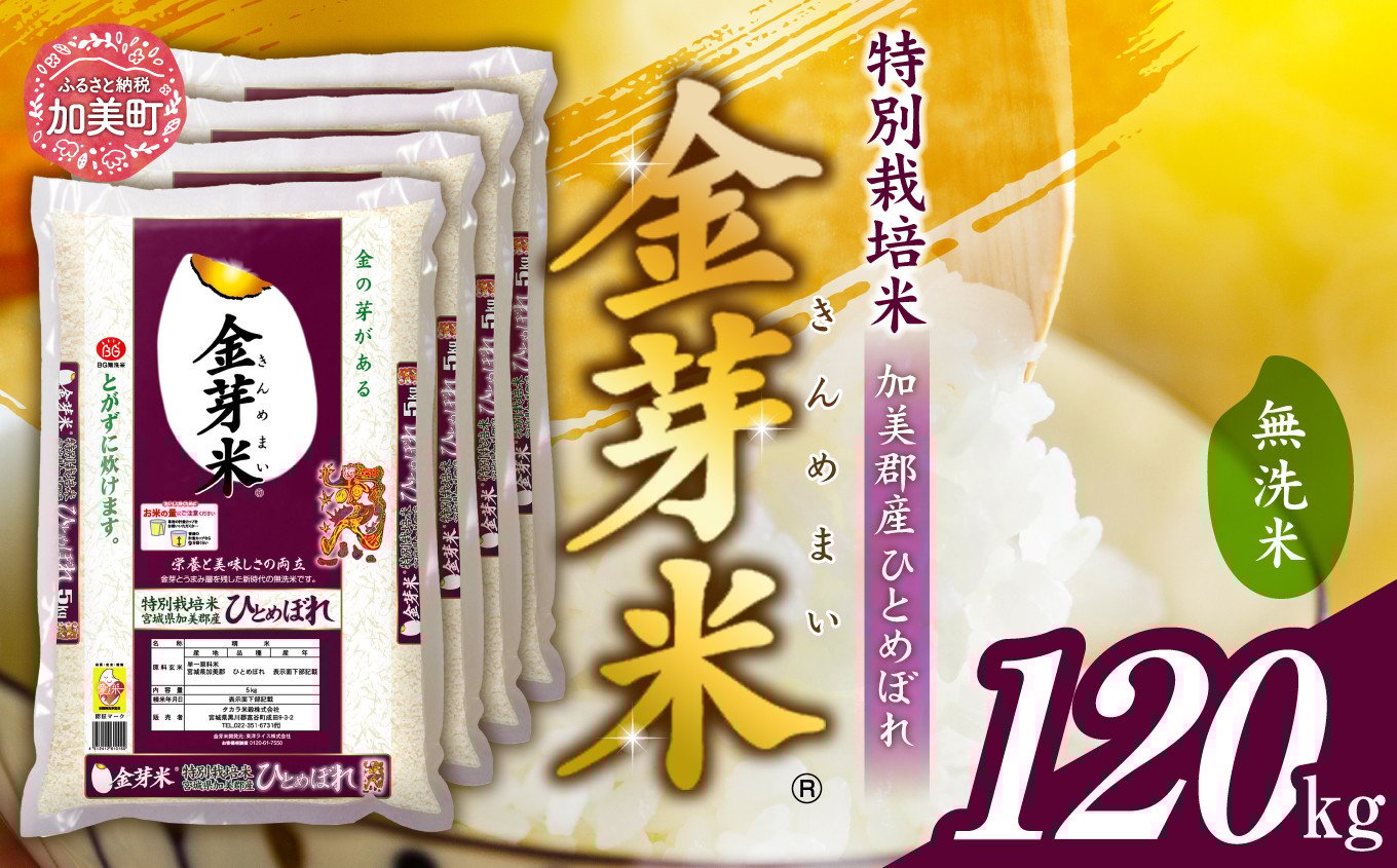 
            米 無洗米 金芽米 令和7年 宮城県 加美産 ひとめぼれ 特別栽培米 120kg （ 5kg × 24袋 ） [ 宮城県 加美町 ]  km-km-knm120-r7
          