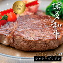 【ふるさと納税】 A5 A4 等級 博多和牛 ヒレステーキ シャトーブリアン 約 450g 3枚入 博多 和牛 ヒレ ステーキ シャトーブリアン 3R10