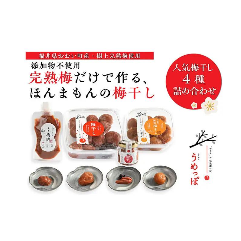 梅干食べ比べセット 完熟梅 紅映梅 福井県産 梅干食べ比べセット