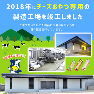 チーズ おやつ カマンベール 48本入り × 3箱｜珍味 おつまみ  【OGY004】