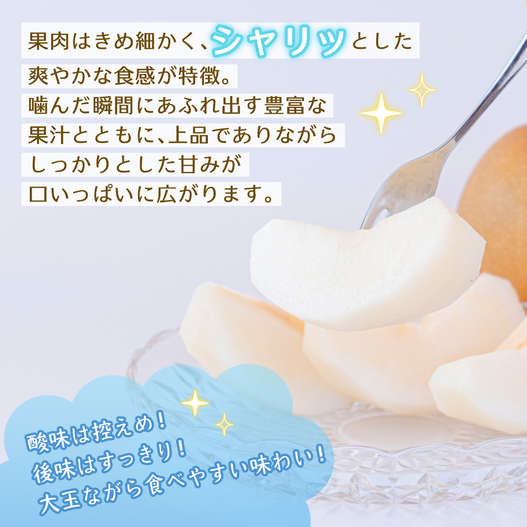 新高 約3kg 【2026年10月より発送開始】（茨城県共通返礼品 [梨]：大子町産） 高糖度 ギフト 贈り物 プレゼント フルーツ なし ナシ 和梨  梨 果実 旬のフルーツ お取り寄せ くだもの 