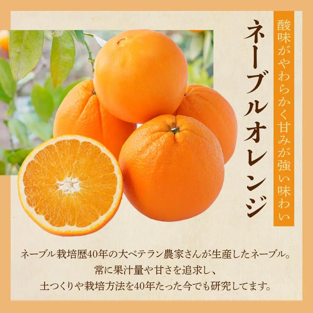 [先行予約] 和歌山県産ネーブル 約4kg　大玉（8個～9個）秀品 こだわり農家厳選 ［KG35］