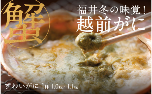 【産地直送】福井冬の味覚！越前がに 1杯  1.0～1.1kg 【2023年度】 [J-00906]