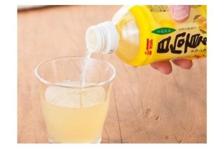 サンＡ 日向夏ドリンク 280ml×48本セット 飲料 ドリンク 日向夏 ペットボトル