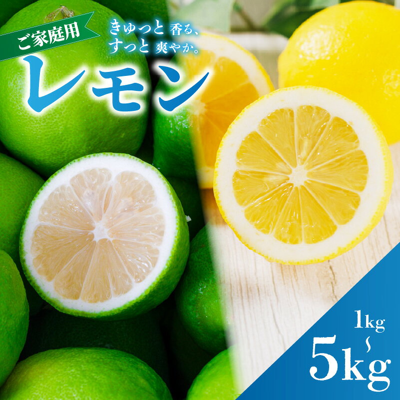 【ふるさと納税】 レモン 家庭用 1kg/2.5kg/5kg 防腐剤 ワックス 不使用 【2026年9月下旬頃から順次発送】｜ 訳あり れもん レモン 檸檬 lemon 完熟 柑橘 国産 愛媛県産 訳あり 新鮮 愛媛 松山 蓮果園