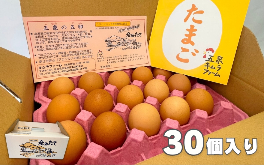 キムラファームの産みたて卵 赤たまご30個（Mサイズ）産みたてたまご たまご 卵 玉子 タマゴ 鶏卵 オムレツ 卵かけご飯 たまご焼き 新潟県 五泉市