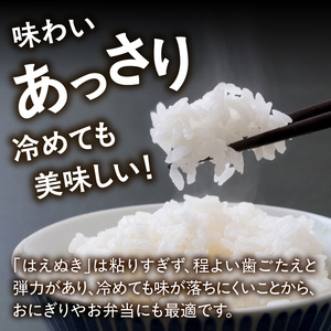 山形県産 はえぬき 10kg(5kg×2袋)【2025年度産米】 065-002