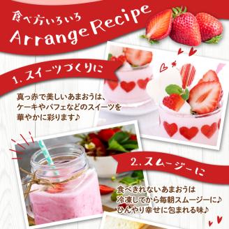 いちご あまおう 2パック 2箱 計4パック 果物 フルーツ 福岡 久留米 九州産 長尾農園 ストロべリー お取り寄せ お取り寄せフルーツ 食品 食べ物 おやつ お菓子作り 送料無料