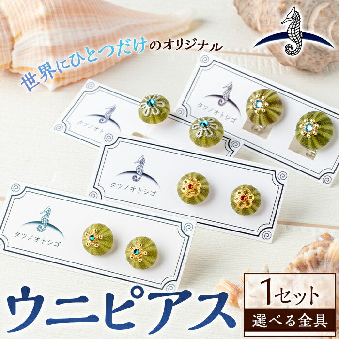 【ふるさと納税】＜選べる＞海アクセサリー ウニピアス (1セット) アクセサリー ピアス ハンドメイド 手作り 耳飾り イヤリング ギフト プレゼント 贈り物 雲丹 うに ウニ殻 1点もの オリジナル 数量限定【タツノオトシゴ】