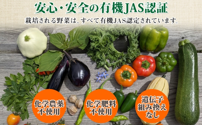 北海道産 旬の有機栽培野菜 ピュアホワイト 10本 3kg以上 と